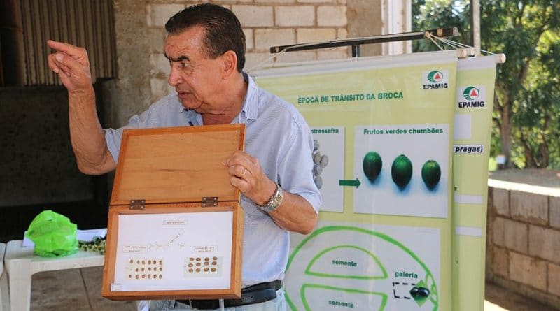 O pesquisador Júlio César de Souza orienta sobre monitoramento da broca do café (800 x 450)