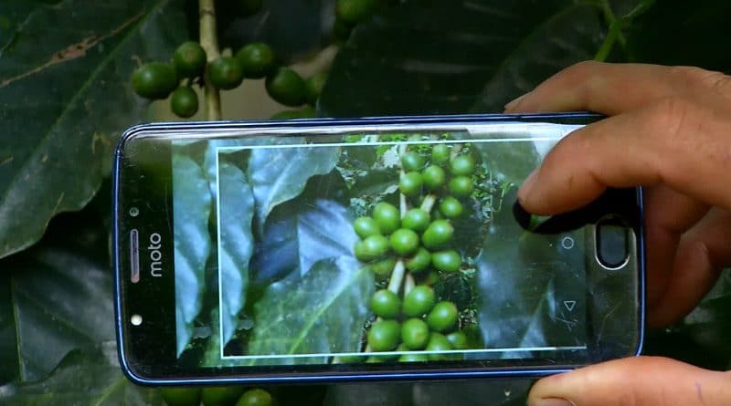 Com alta tecnologia, cafeicultores estão melhorando a produção e as vendas em São Gonçalo do Sapucaí (MG)