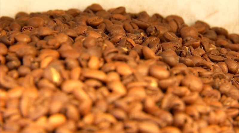 Exportações de café têm queda de 40%