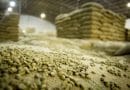 Estoques de café verde dos EUA caem para mínima desde junho