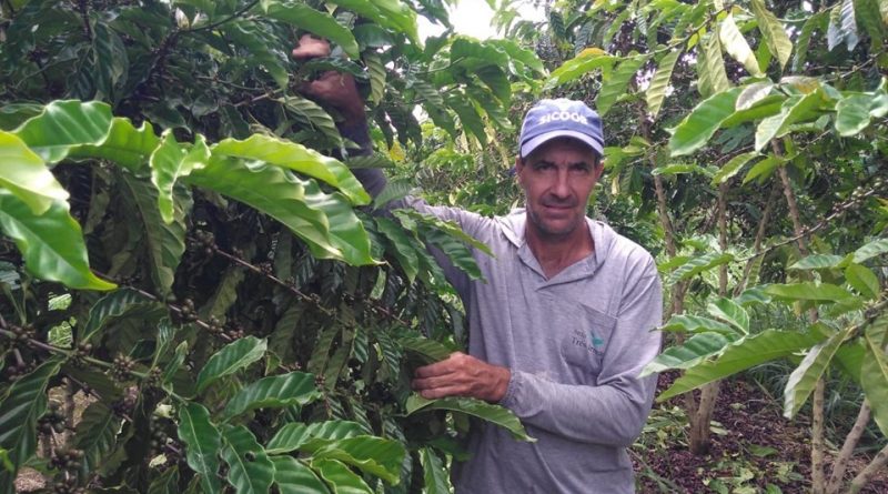 Produção de café sustentável e tecnológica recebe suporte do Incaper no ES