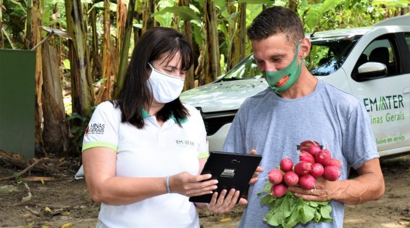Emater vai ampliar uso da tecnologia no serviço de extensão rural em Minas Gerais (1200 x 842)