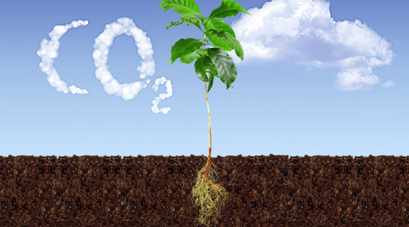 Governança socioambiental e a cafeicultura de baixo carbono