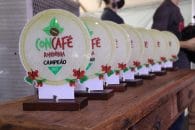 Concurso de qualidade do café de RO fortaleceu cadeia produtiva do agronegócio em 2021