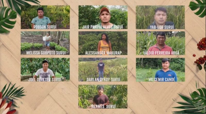 Indígenas de RO são premiados por produzirem os melhores cafés robustas amazônicos