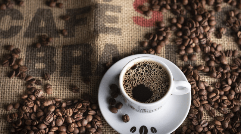 Pesquisas da EPAMIG com café são destacadas como tendências globais em publicação internacional