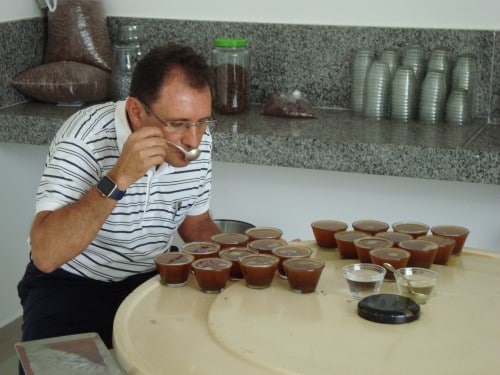 curso classificacao degustacao cafe cccmg felipe alvarenga