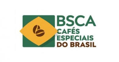 Café especial: Vinicius Estrela assume a gestão da BSCA