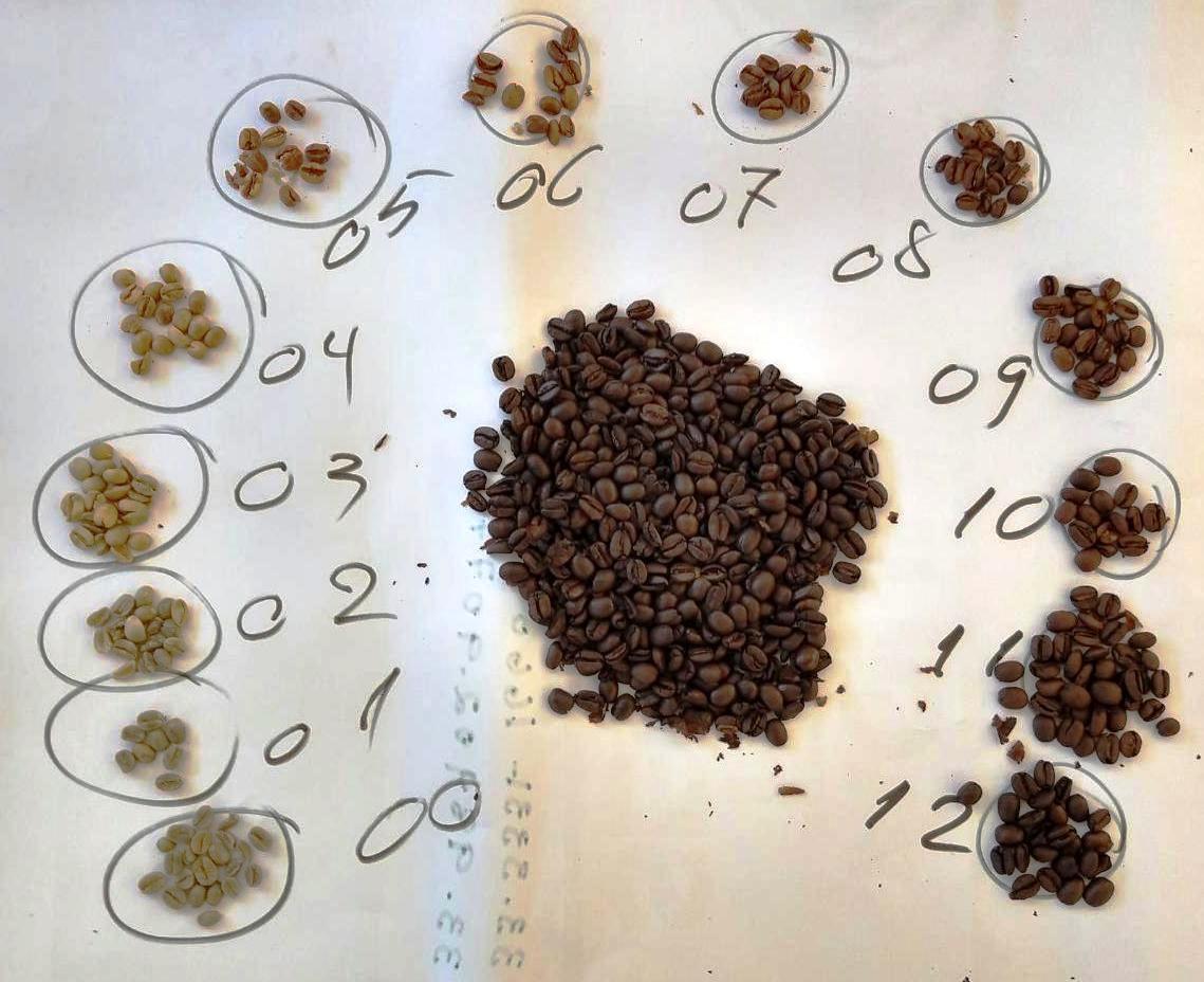 Técnicos do ATeG fazem curso de Classificação e Degustação de Café (1)