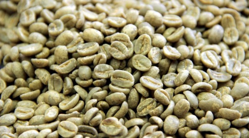 Brasil registra aumento de 22% nas exportações de café em outubro