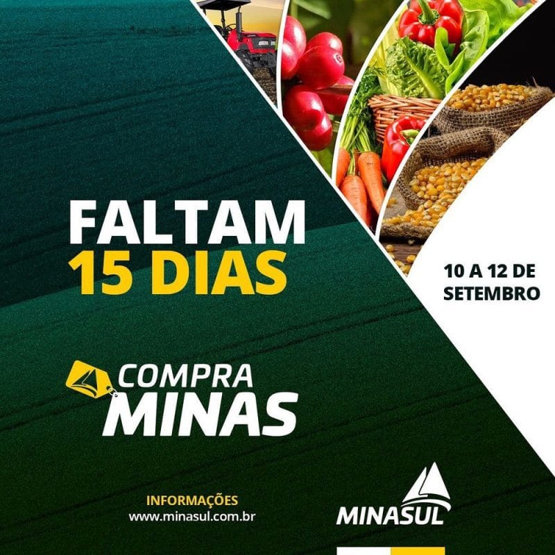 Compra Minas 2019