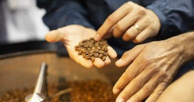 Demanda mundial de café tem aumento no primeiro trimestre do ano
