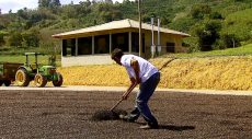Proprietário rural pode emitir Certificado de Cadastro de Imóvel