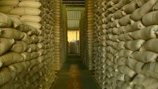 Estoques de café verde sobem em abril para 5,907 milhões de sacas nos EUA