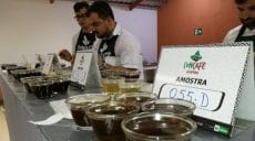 Extensionista da Emater Rondônia conquista a 3ª colocação em concurso para avaliação de cafés especiais do País