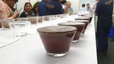 Rondônia sedia 1º Encontro Brasileiro de Degustadores de Café do Brasil