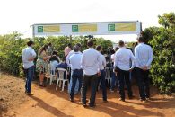 Fundação Procafé promove Dia de Campo em Varginha (MG); confira fotos do evento