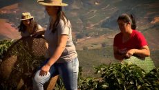 Mulheres ganham espaço nas cafeiculturas de Minas Gerais (1080p_30fps_H264-128kbit_AAC).mp4_snapshot_00.25.876