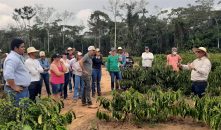 Capacitação atualiza conhecimentos sobre produção de café Robustas Amazônicos