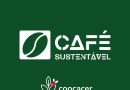 Projeto Café Sustentável será lançado em dezembro em Araguari 